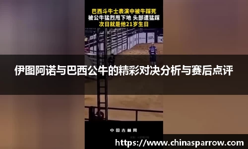DB电竞平台